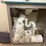 1992-pace-restroom-trailer-image-12