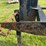 hay-trailer-image-16