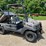 bobcat-image-1