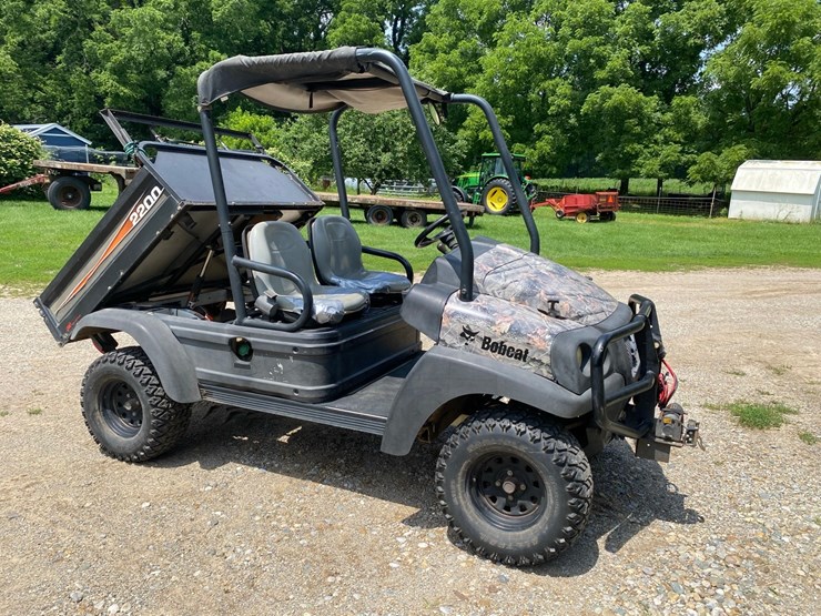 bobcat-image-1