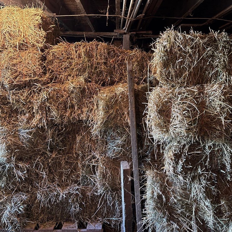 Alfalfa Bales
