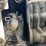 bobcat-873-image-14