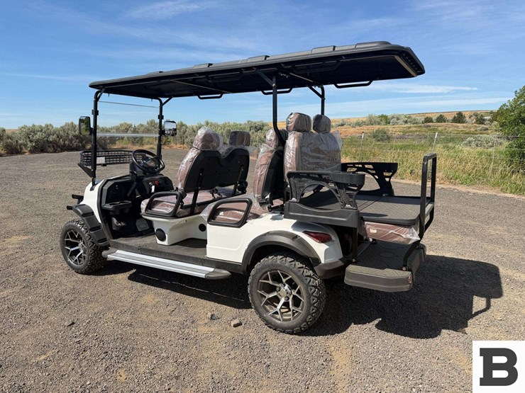 2026-sdlanch-sdlgc100-electric-golf-cart-image-4