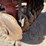 case-ih-770-image-31