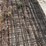 6-cattle-panels-image-6
