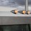 2006-peterbilt-379x-image-110