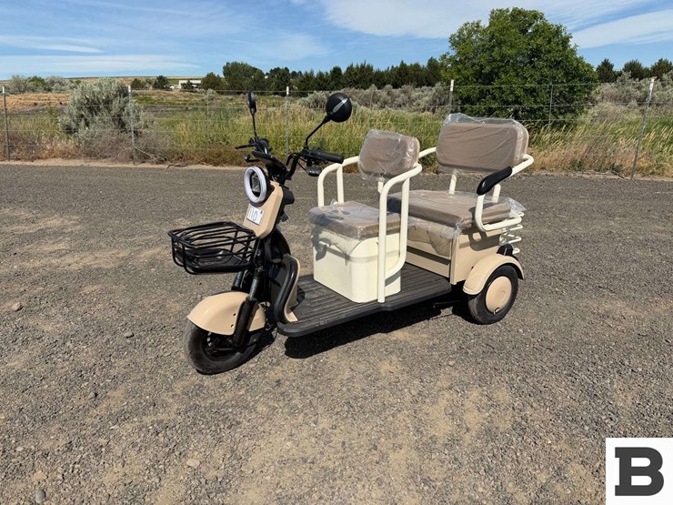 2026-sdlanch-irgc40-mini-golf-cart-image-1