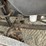2003-freightliner-fl112-image-22