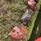2011-case-ih-md82-image-20