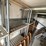 2016-international-durastar-4400-image-50