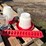 poultry-feeders-image-2