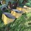 john-deere-7000-image-4