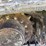 2021-caterpillar-306-cr-image-9