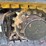 2023-caterpillar-306-cr-image-21