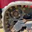 2018-barreto-20rtk-image-14