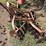 ferguson-ab022-tandem-disc---cheney,-wa-image-2