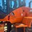2013-doosan-dl250tc-image-10
