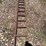 steel-grain-bin-ladder-image-3