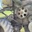 john-deere-55-image-36
