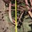 ferguson-ab022-tandem-disc---cheney,-wa-image-7