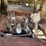ingersoll-rand-175-towable-air-compressor-image-11