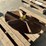 spreader-truck-sprocket-&-spinner-image-2