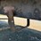 2016-fontaine-flat-bed-trailer-image-20