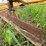 proctor-18x52-image-29