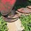 gehl-dm162-7ft-disc-mower-image-19