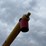 westfield-mkx100-73-auger-image-19