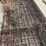 6-cattle-panels-image-5