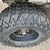 bobcat-image-36