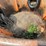 roto-grind-760-image-36