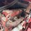 case-ih-1640-image-100