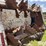 kuhn-2054-pull-type-hydra-push-manure-spreader-image-16