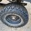 bobcat-image-35