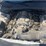 2016-dodge-charger-awd-police-passenger-car-image-25