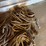 3-bundles-of-rope-image-6