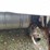 2016-international-durastar-4400-image-27