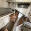 2016-international-durastar-4400-image-52