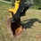 2023-caterpillar-306-cr-image-18