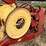new-holland-499-image-6