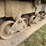2000-morooka-mst2000-image-15