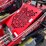 #18387-•-unused-2026-agt-skid-steer-loader-(princeton,-mn)-image-7