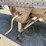 #45428-•-chamberlin-40'-t/a-hopper-bottom-trailer-inv#-45428-image-31