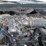 2004-ford-f350-image-25