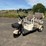 2026-sdlanch-irgc40-mini-golf-cart-image-1