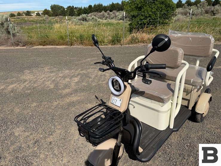 2026-sdlanch-irgc40-mini-golf-cart-image-3