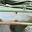 #48123-•-10’-s/a-military-trailer-inv#-48123-image-23