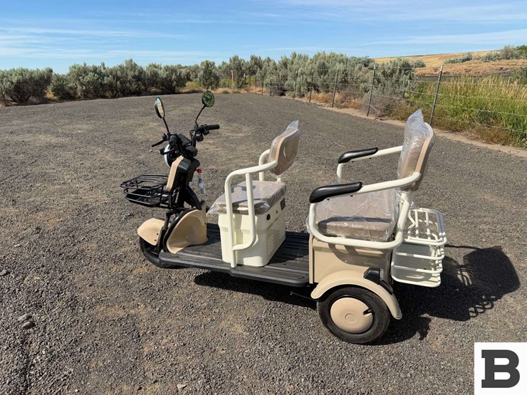 2026-sdlanch-irgc40-mini-golf-cart-image-4
